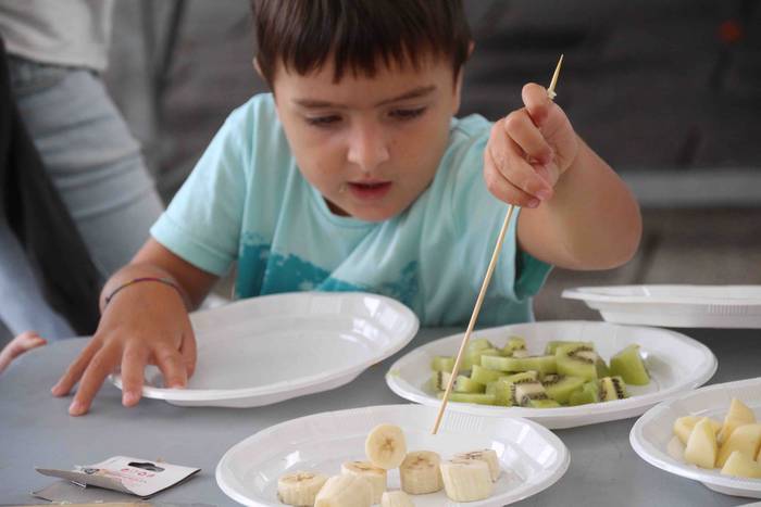 Zizurkilen, irudimena eta da 17 1536232163641