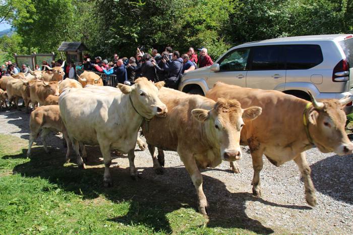 Larre irekiera Larraitzen 20 79 1493640143269