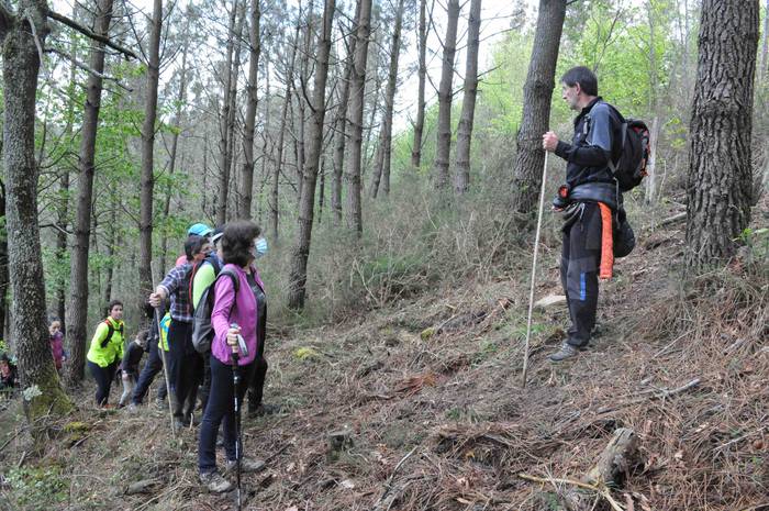 Zizurkilgo mugarriak Hernand 8 1620026989437