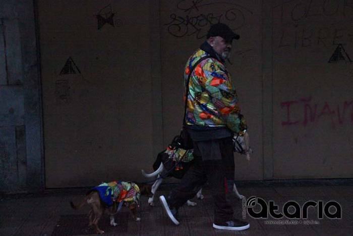 Diana, aspaldiko bustiena et 20 1518342514926