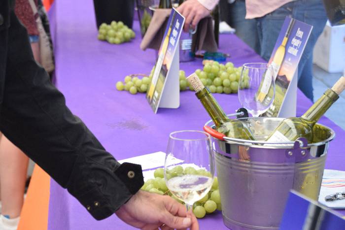 Gure Txokoa elkartearen ardo 16 1491650532687