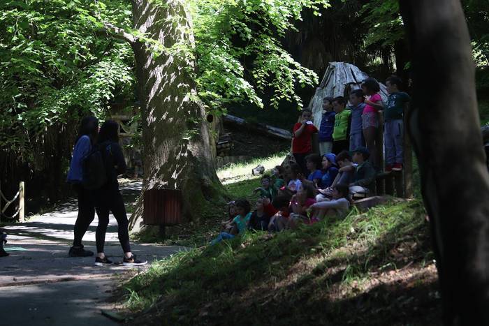 Elosegi parkeko biodibertsit 15 1559225133240