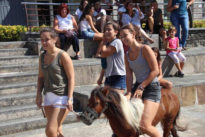 Festak hasteko, poniak eta z 34 1566993990630