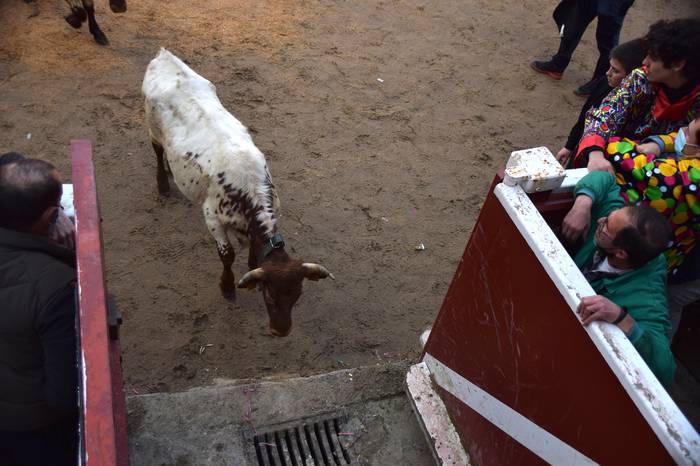 xexenak ostiral mehea 37 1645807734845