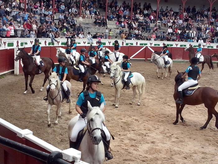 Zaldi erakustaldia Tolosa zezen plaza 6 1466419136148