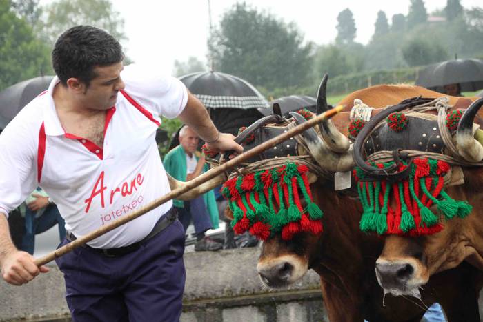 Zizurkil festak 2018 xiba et 30 1534452665345