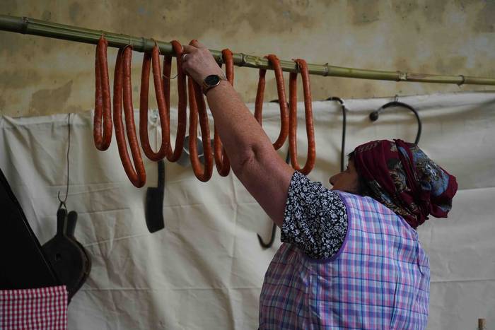 Txerri hiltzearen bueltan eg 12 1760883707115