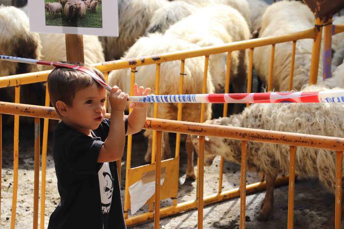 Inoiz baino bereziagoa 16 1568556712644