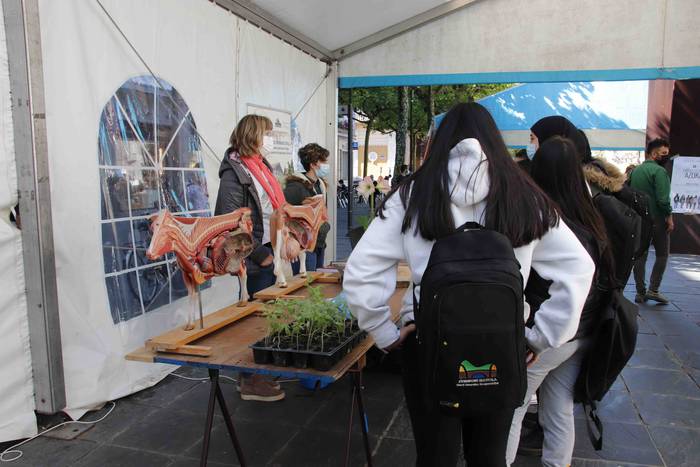 VI. Lanbide Heziketa Azoka 5 1619175143524