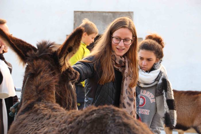 Azoka eguna ospatu dute Bera 23 1541345700315