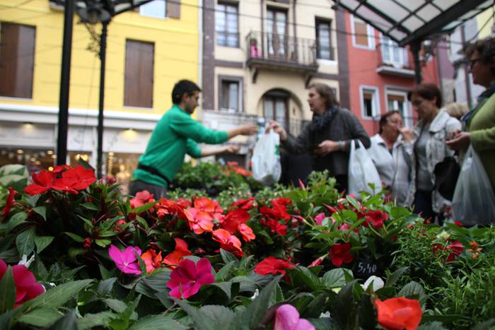 Eta liliek Tolosa ere amets 33 1495290391207