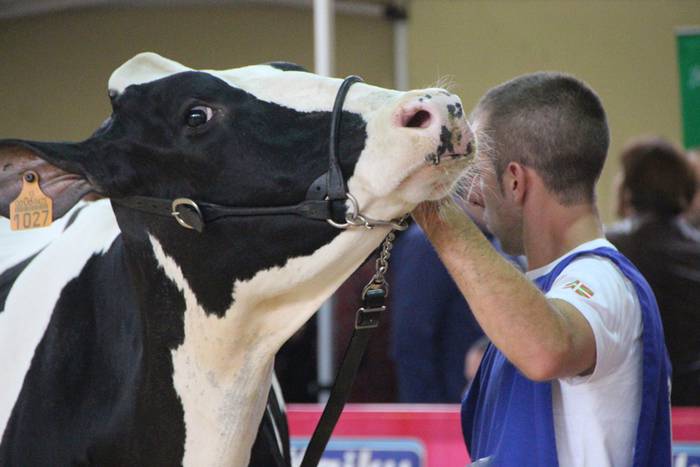 Frisoi Txapelketa 2015 2 1447530175398