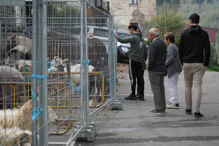 Txerri hiltzearen bueltan eg 3 1760883702421