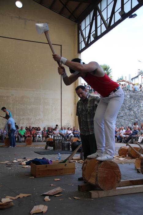 Bedaioko ingurutxoa ezin falta festetan 4 1473618646246