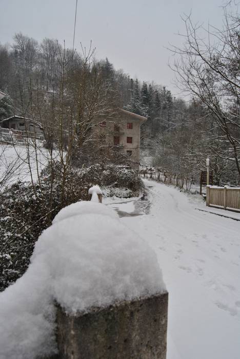 Argazki galeria: Tolosaldea, 16 1519809746397