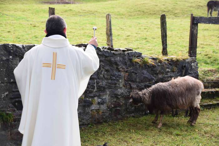 Animaliek jaso dute San Anto 19 1547722526782