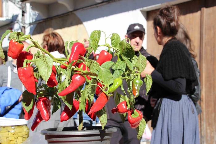 Azoka eguna ospatu dute Bera 45 1541346064343