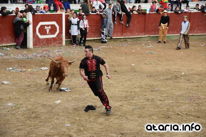 Pattar zezena 2016 36 1455012395959