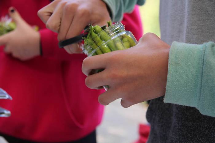 Piperraren zikloa 2015 26 1445442220859