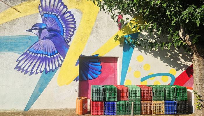 KOLORETAKO USOA KOLORETAKO MUNDUA