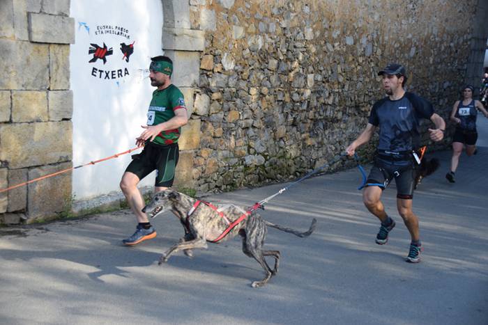 III. Txakur Krosa, Zizurkil 2 1523728602453