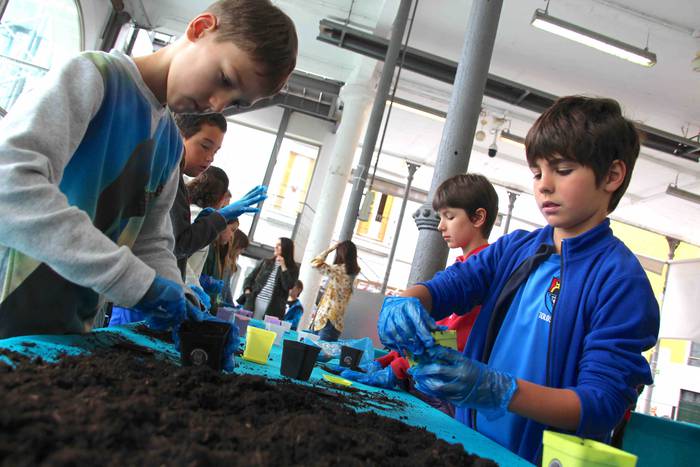 Babarruna ereitea 2018 10 1529058824257