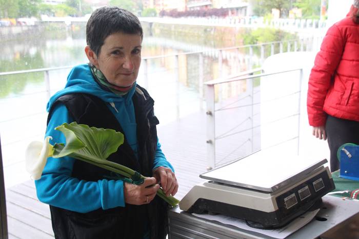 San Isidro Tolosan 2016 14 1463226513686