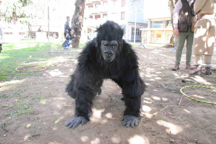 Zaldunita Eguna 2019, karroz 20 1551629110573