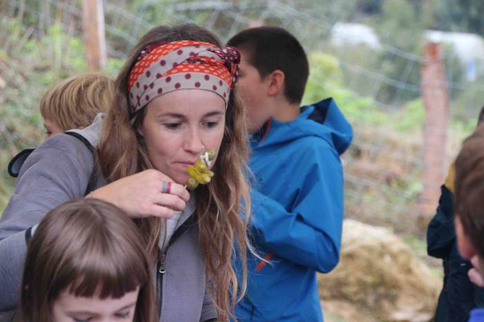 Ibarrako piparraren ibilbide 72 1664026271760