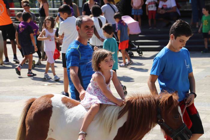 Festak hasteko, poniak eta z 42 1566993999579