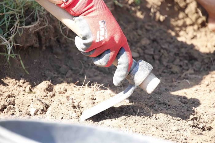 Saseta Defentsa Sistema auzo 3 1658491976878