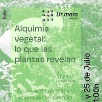 Tailerra