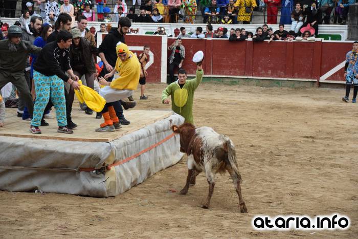 Pattar zezena 2016 26 1455012391125