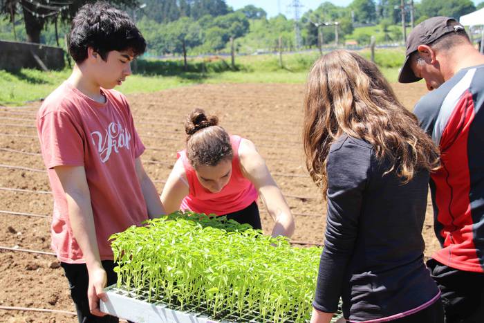 Erein dituzte lehen piperrak 13 1559303465511