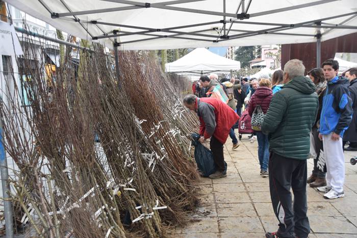 Zuhaitz Azoka, Tolosa, 2017 34 1486819756709