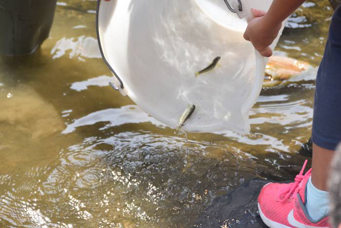 Izokinkumeak, Orian 29 1500724864577