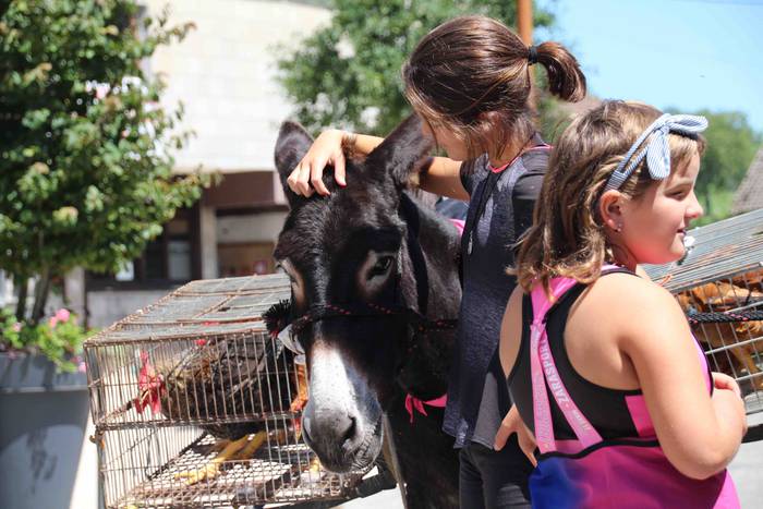 Suziriari aurrea hartu diote 14 1565791746946