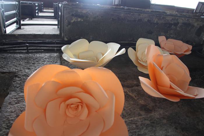 Eta liliek Tolosa ere amets 15 1495290273892