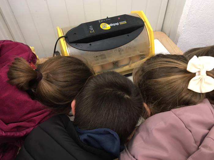 Emakume zientzialarien eguna 10 1581438597979