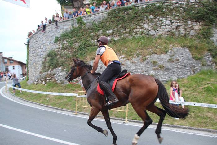 Zaldi gainean lasterka Abalt 32 1498413205092