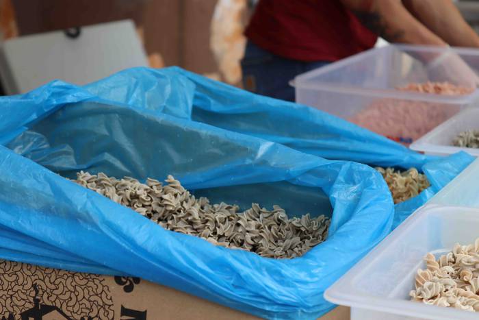 Lehen azoka ekologikoa egin  19 1635685252034