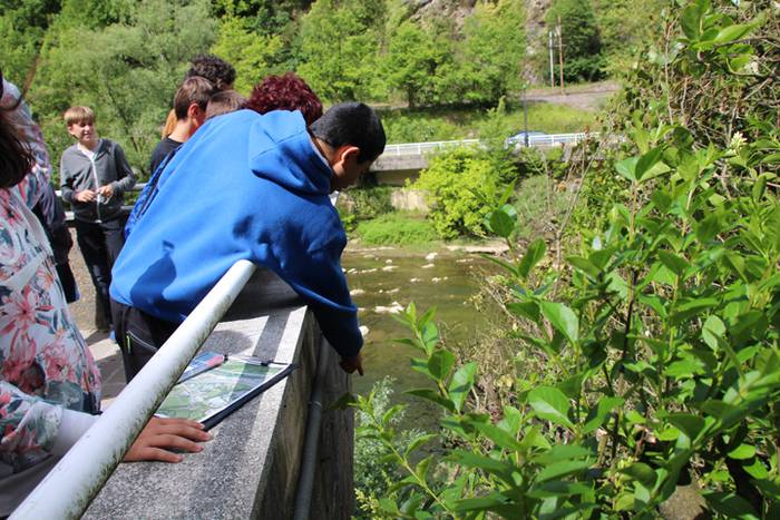 Espezia inbaditzaileak 6 1494600439701