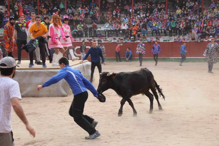 Lehenengo zezen festa, prime 24 1551375048614