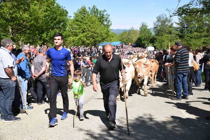 Larrerati dituzte abereak Ar 41 1556716306537