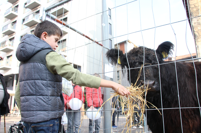 Urteko azken azoka berezia gurtu du Tolosak 4 1481985881279