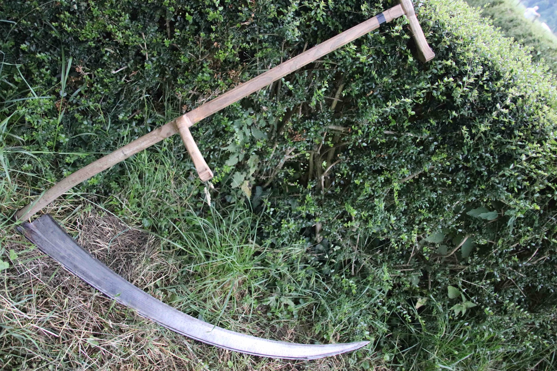 Sega apustua bihar Belauntzan, San Joan jaien barruan