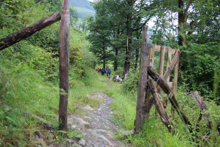 Lizartza, Axurdario, diberts 36 1624104189057