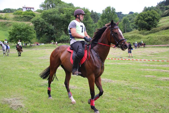 Zaldien gainean lehian 24 1497207242132