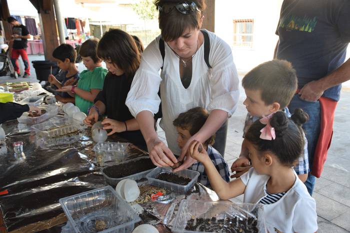 Ikaztegietako VI. Euskal Azo 23 1506175241679