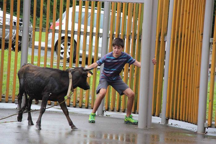 hernialde festak puzgarriak  41 1534160568060